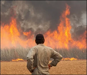 As queimadas começam com mentiras, e o preço é alto…