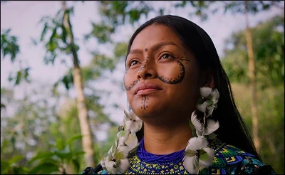 Nia Tero +  Wayfinders circle